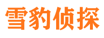 惠安市调查公司